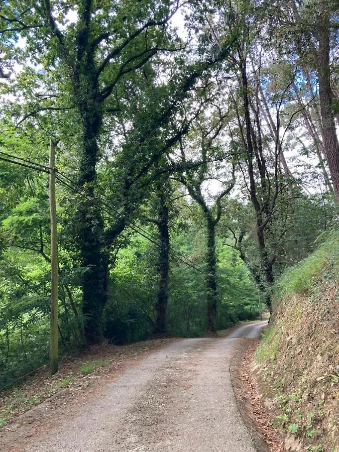 Urretxiki-Maruri Home Bilbao & Nature Experience Maruri Jatabe 0*,