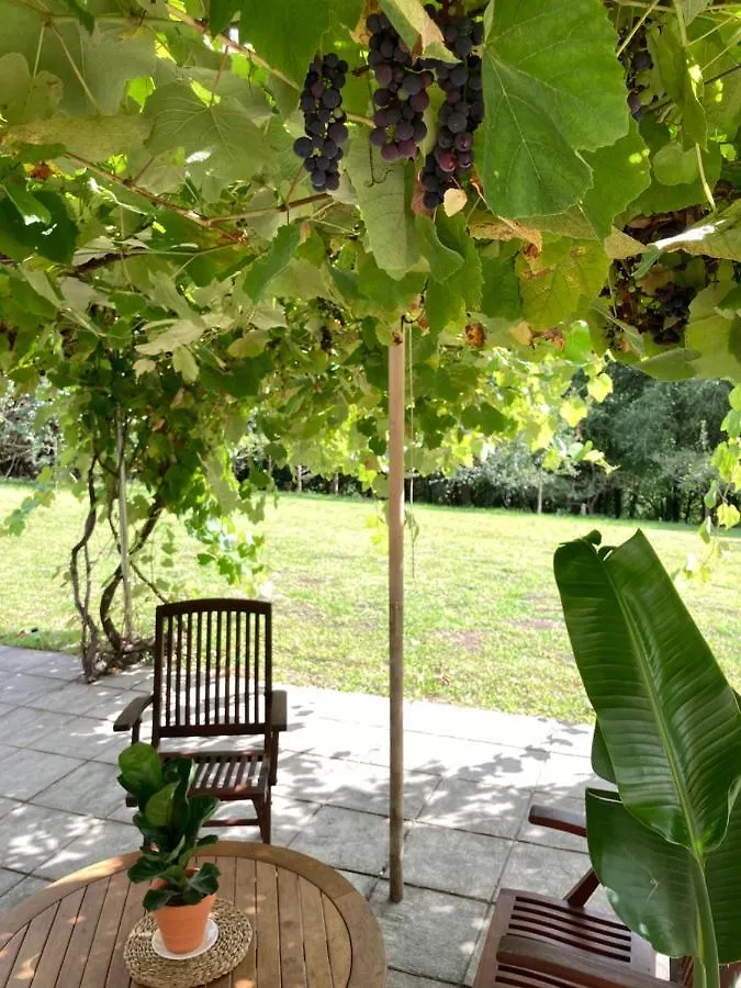 Urretxiki-Maruri Home Bilbao & Nature Experience Maruri Jatabe